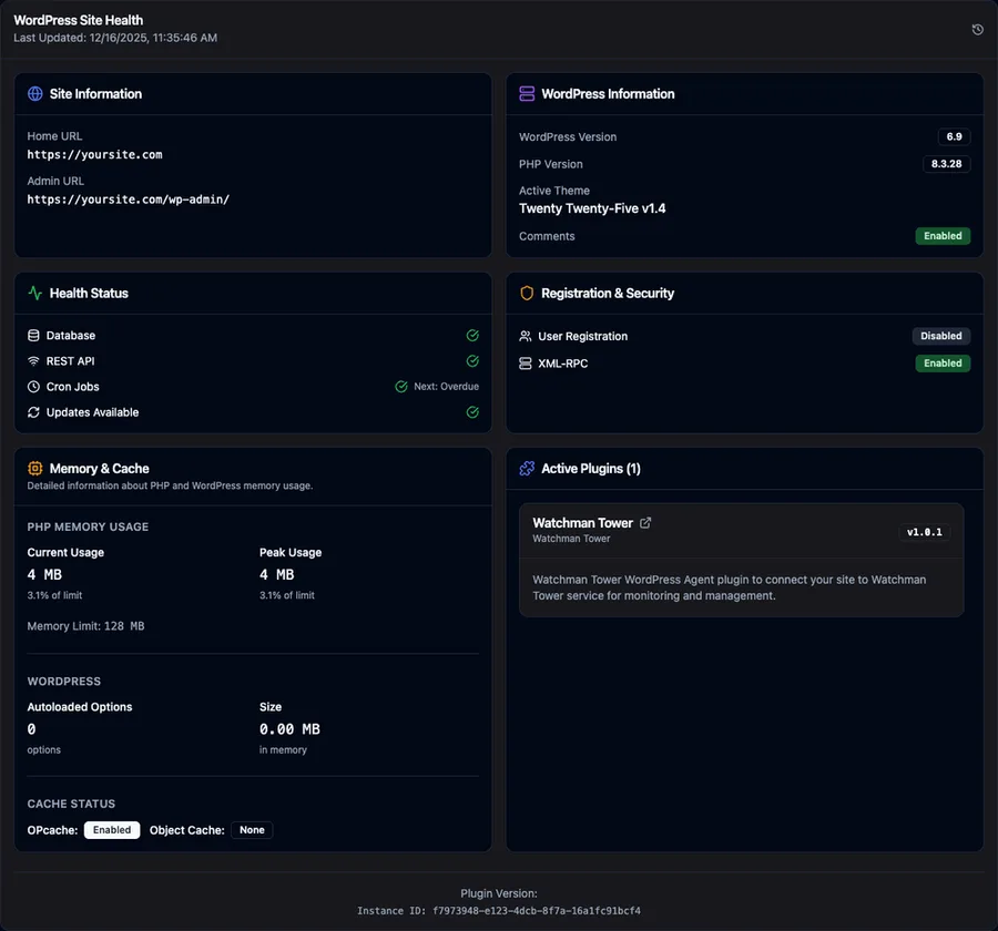 WordPress health monitoring dashboard showing versions, updates, database status, cron information, plugins, memory, and autoload data